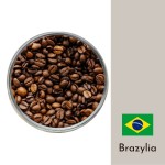 Kawa Brazylia Santos 100g - jednorodna arabika ziarnista